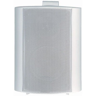 Speaker 100V 55W White Pair Spt-500