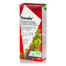Power Health Floradix Σιρόπι - Σίδηρο, 250ml