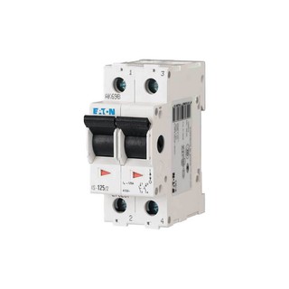 Main Switch 2-Poles 40A 240V IS-40/2