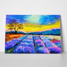 Pastel lavender field 2 322360163 a