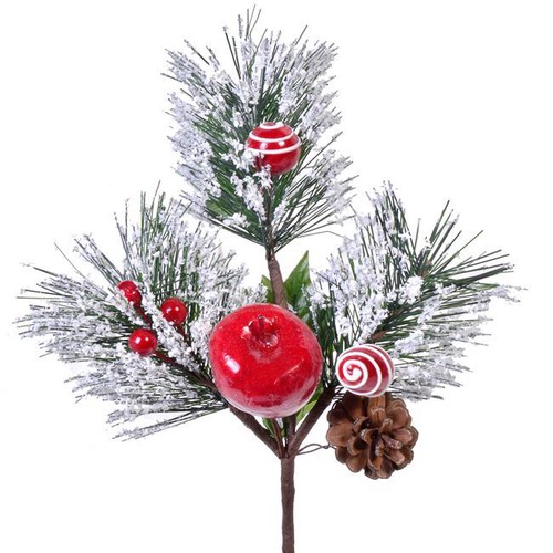 Dege Pishe Dekorative Me Boce & Mollë 23 Cm