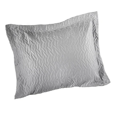Διακοσμητική Μαξιλαροθήκη Pavilon Silver 40x40 (Χω