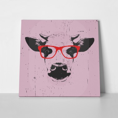 Portrait cow glasses 476373349 a