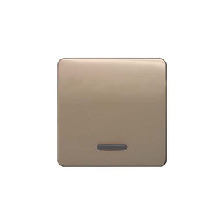 Delta Push Button/Switch with Window Symbol Bronze