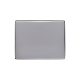 Berker Arsys Plate Switch-Button Inox 14040004
