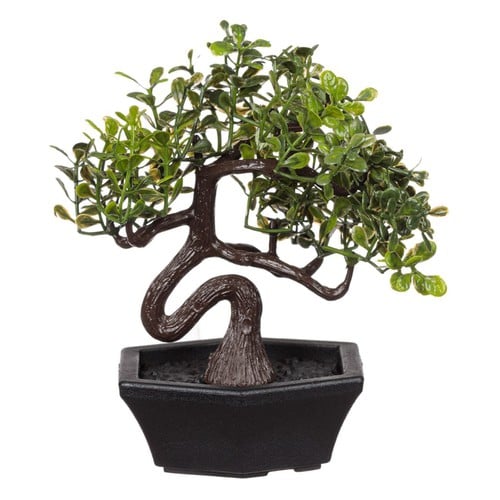 Vazo bonsai dekoruese