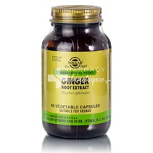 Solgar GINGER Root Extract - Πέψη / Ναυτία, 60 caps 