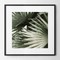 Abstract palm leaves black