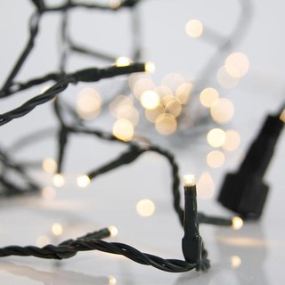 Christmas Lights String LED 100 Warm White with Gr