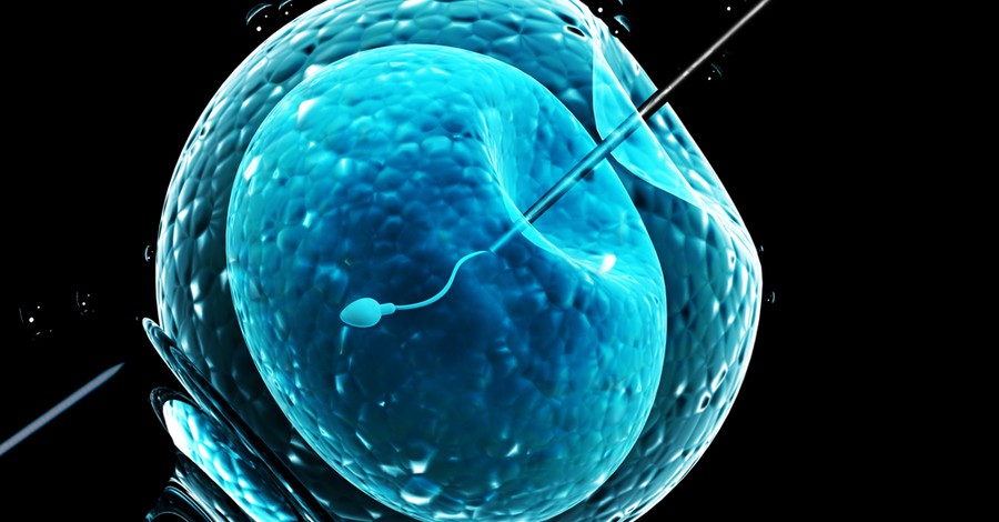 Fertilizarea in vitro – Cum știi daca a mers sau nu?