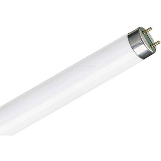 Fluorescent Lamp T8 L38W/840 4000K 3300lm 40503005