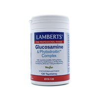 Lamberts Glucosamine & Phytodroitin Complex 120 Τα