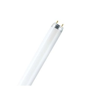Fluorescent Lamp G13 L36W/954-1 5400K 2600lm 40503