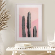 Cactus on pink