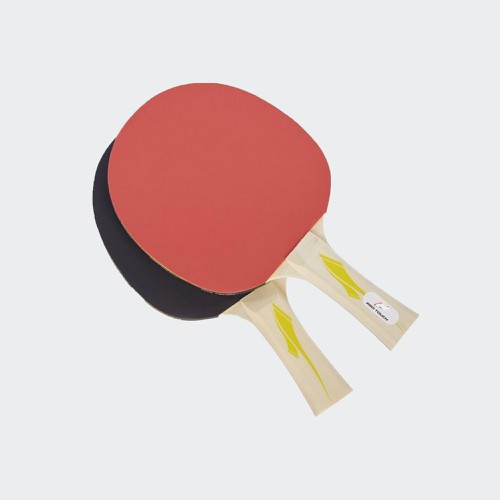 RAKETE PING PONG PRO 1000 PRO TOUCH