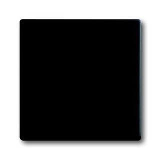 Πλακίδιο Διακόπτη A/R Μαύρο 1786-885 45993
