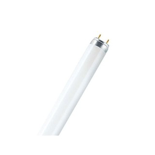 Fluorescent Lamp T8 58W/940 4000K 4600lm 405030001