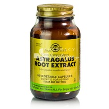Solgar ASTRAGALUS Root Extract - Ανοσοποιητικό, 60 caps