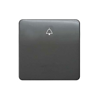 Delta Switch Plate with Bell Symbol Anthracite 5TG