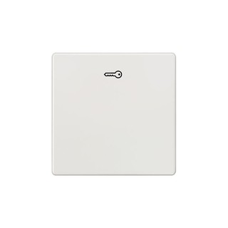 Vita Switch Plate with Key Symbol Titanium White 5