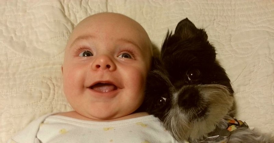 Любовта между бебетата и животните
