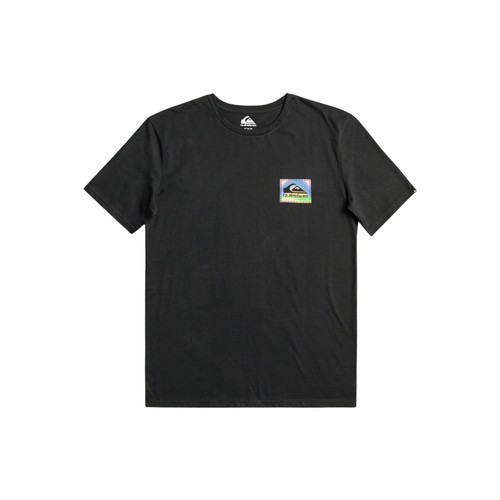 Quiksilver Men T-Shirts Colour Flow Ss (EQYZT07229