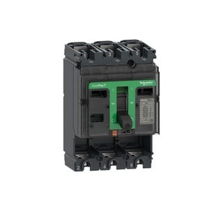 Circuit Breaker Basic Frame NSX100S 100kA/415V 3 P