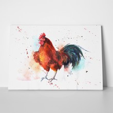 Handdrawn brightcolored rooster 373012888 a