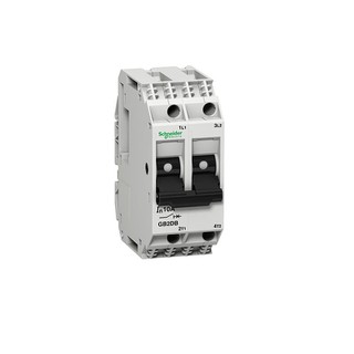 Thermal Magnetic Circuit Breaker 2P 4A Id=50A TeSy