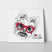 Yorkshire terrier with glasses 291784577 a