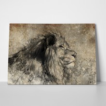 Lion with charcoal 128263517 a