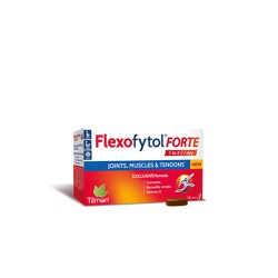 Tilman Flexofytol Forte Συμπλήρωμα Διατροφής Για Την Κίνηση Των Αρθρώσεων Τενόντων & Μυών 28 κάψουλες