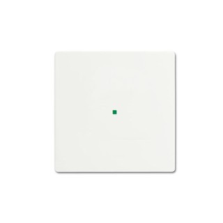 Πλακίδιο 1G Απλή Λευκό SR-1-884 80342