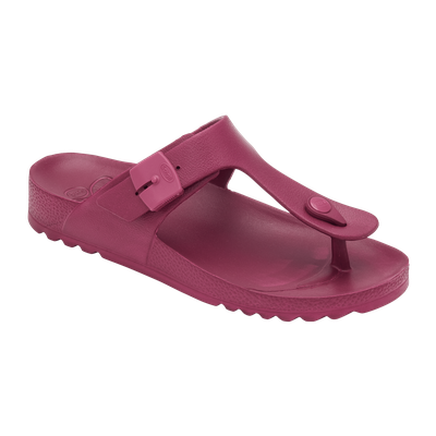 Scholl Bahia Flip- Flop Wine Γυναικεία Ανατομική Π
