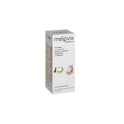 SJA Pharma Melovix Φυτικό Σιρόπι Για Ερεθισμένο Λαιμό Και Βήχα Με Λεμόνι Και Φράουλα 200ml