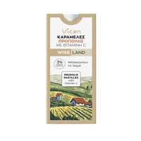 Vican Wise Land Propolis Pastilles 10τμχ - Καραμέλ