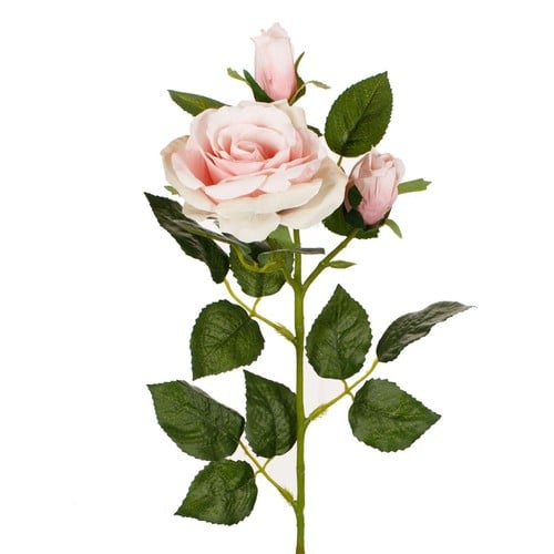 Lule trendafil roze 63 cm 