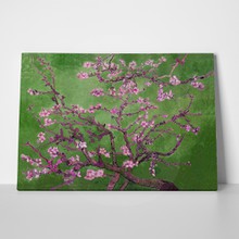Almond blossom green