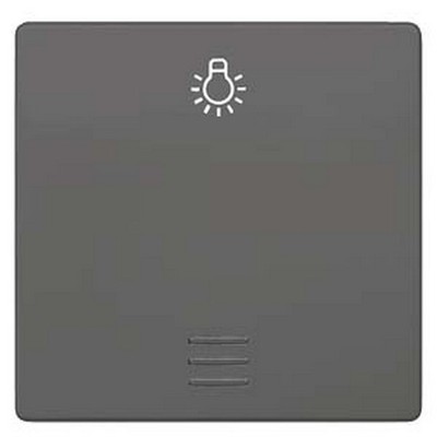 Delta I-System Switch Plate With Window and Symbol