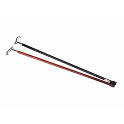 Cane with Silver T handle