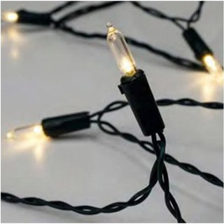 Chistmas Lights LED 40 Warm White with Green Wire 