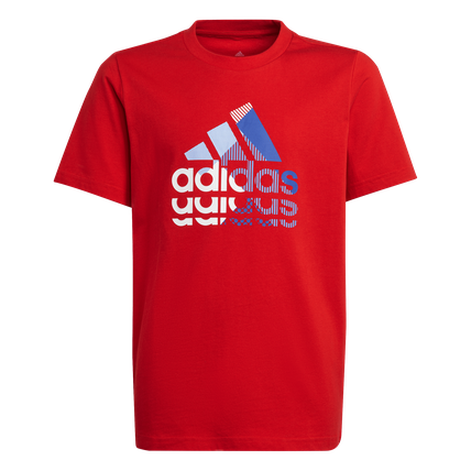 adidas boys graphic t-shirt (IB9161)