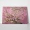 Almond blossom pink