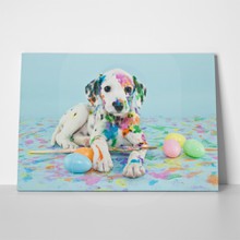 Funny little dalmatian puppy 180112748 a