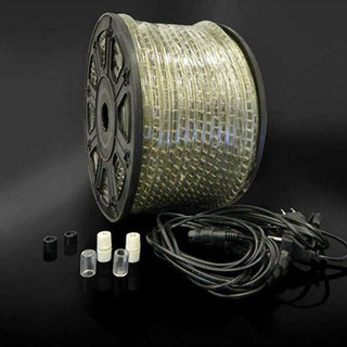 Connection Cable With Plug For Led Rope Light 2-Wa