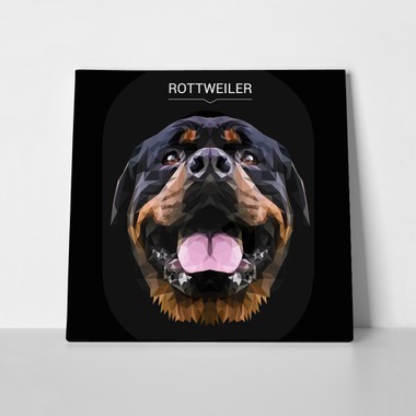 Rottweiler dog animal low poly 666949804 a
