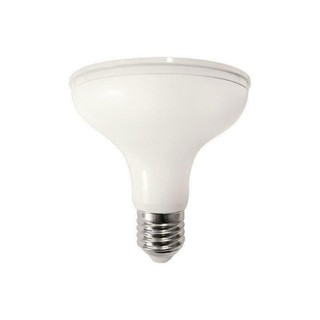Bulb Par 30 LED SMD E27 15W 4000K Dim 147-77551