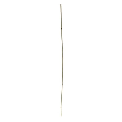 Shkop bamboo 120cm