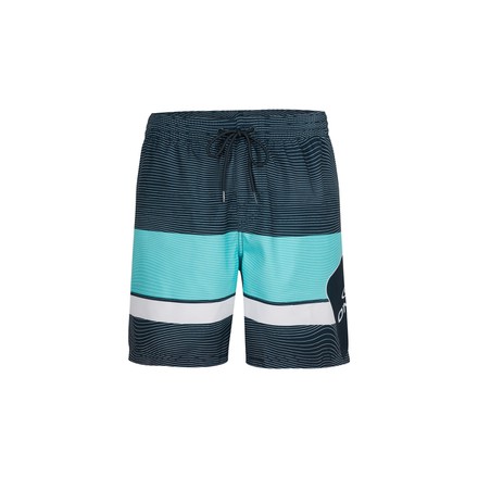 STACKED SHORTS Σόρτς Ανδρ.Εισ.