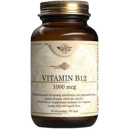 Sky Premium Life Vitamin B12 1000mcg, Συμπλήρωμα Διατροφής Με Βιταμίνη Β12, 60caps